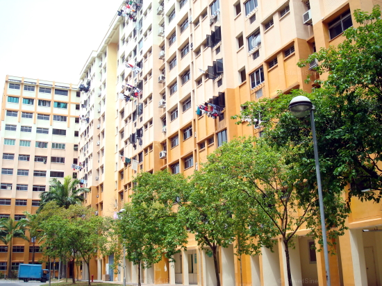 Woodlands Street 41 thumbnail photo